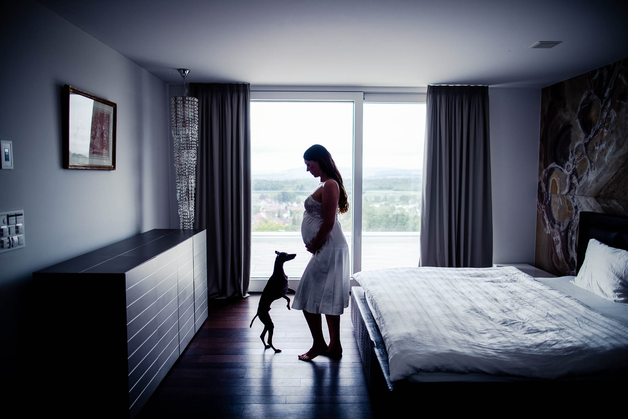 Export x3 1DX26140 Fotoshooting 2020 Zito